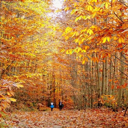 Aroma De Primavera En Casas Rurales Acebuche Касас-дель-Монте Экстерьер фото