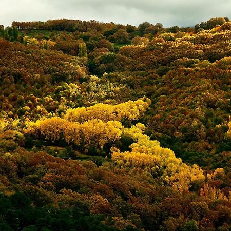 Aroma De Primavera En Casas Rurales Acebuche Касас-дель-Монте Экстерьер фото