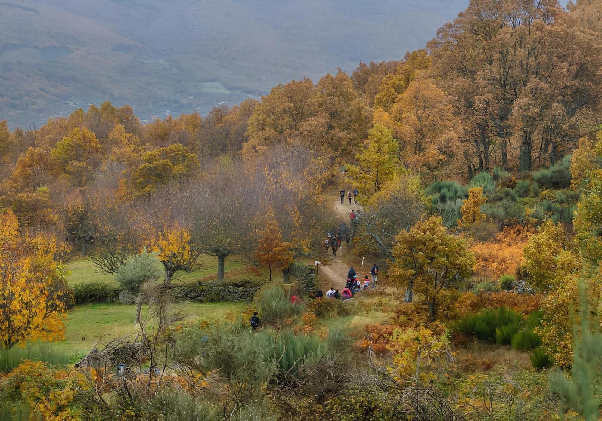Aroma De Primavera En Casas Rurales Acebuche Касас-дель-Монте Экстерьер фото