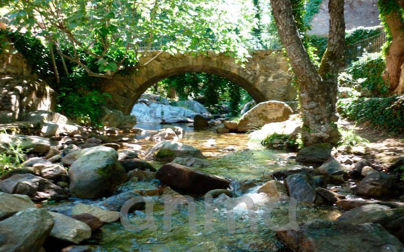Aroma De Primavera En Casas Rurales Acebuche Касас-дель-Монте Экстерьер фото